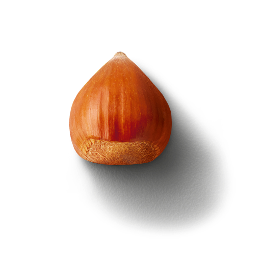 Hazelnut